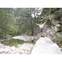 Avatar for DodgeyDave