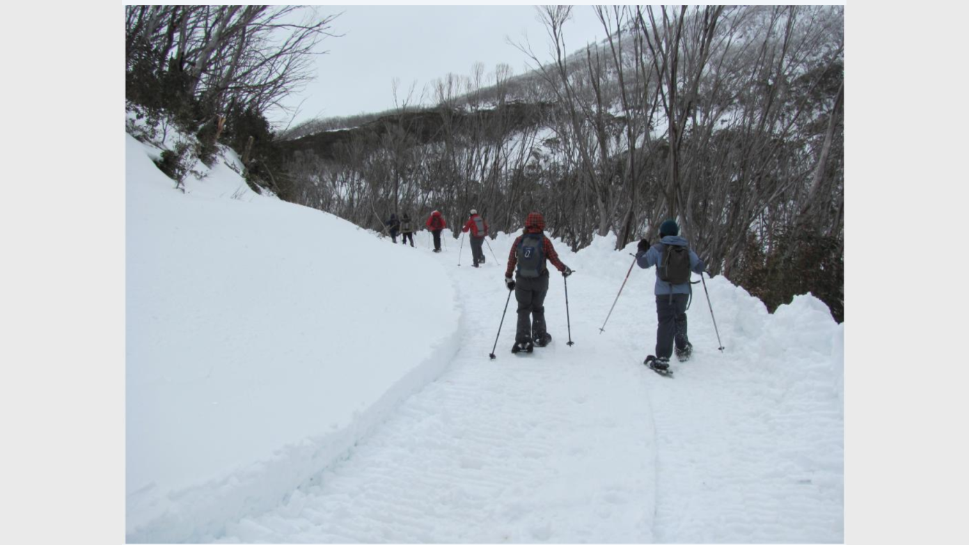 feature image for 1-day Snowshoe from Munyang, KNP