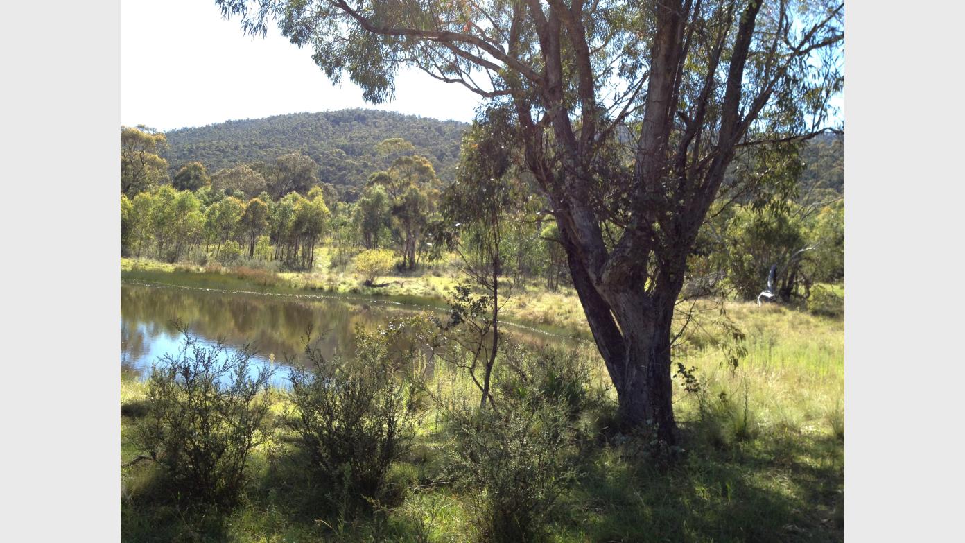 feature image for Bushfold Flats