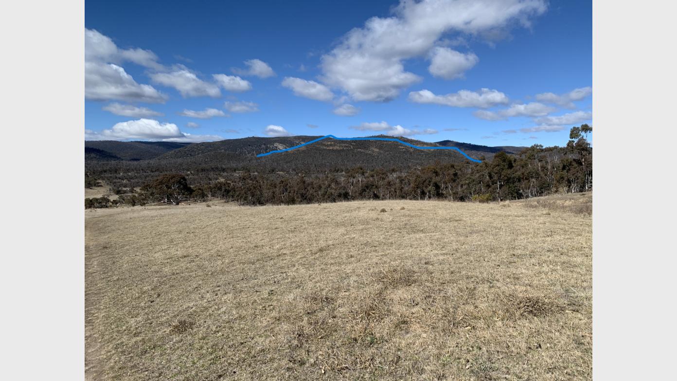 feature image for Explore the 1220+m knoll south of Yankee Hat carpark