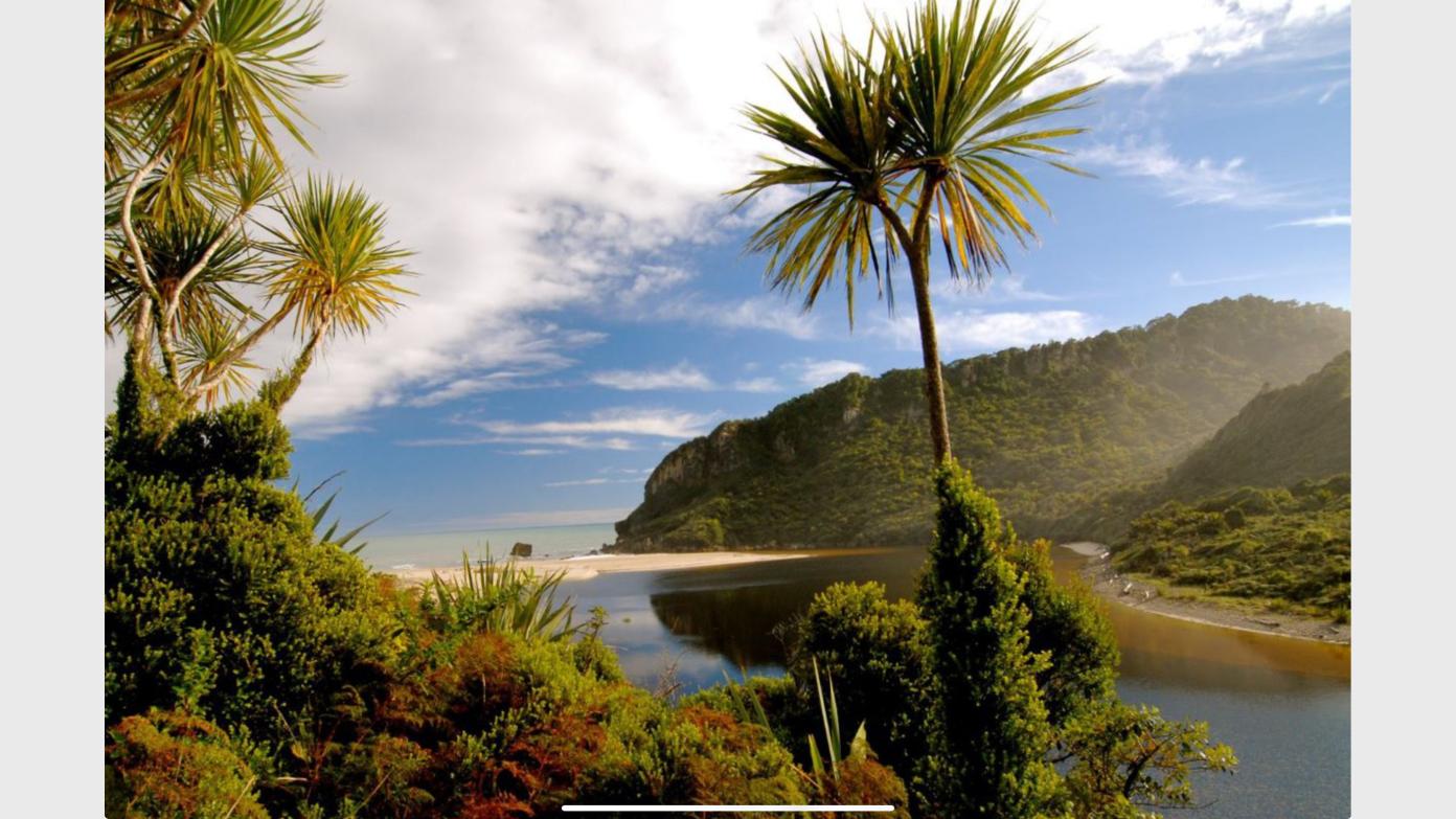 feature image for NEW ZEALAND - Abel Tasman Coastal Track and the Heaphy Track.