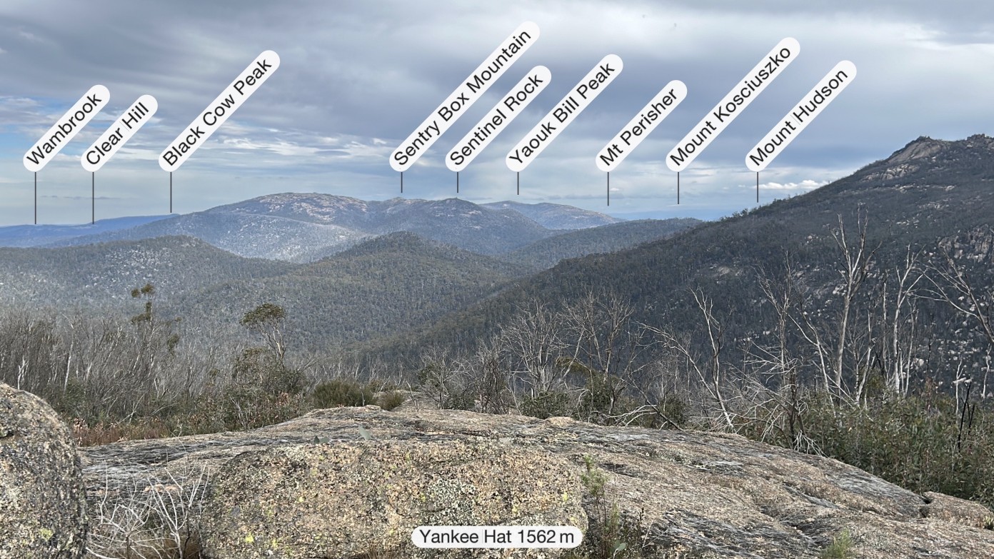feature image for YANKEE HAT SOUTH