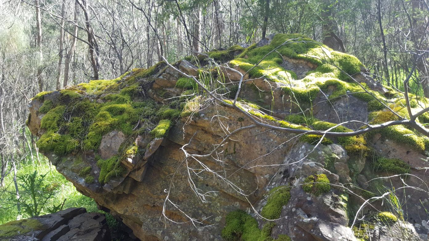feature image for Canoe Creek and Environs