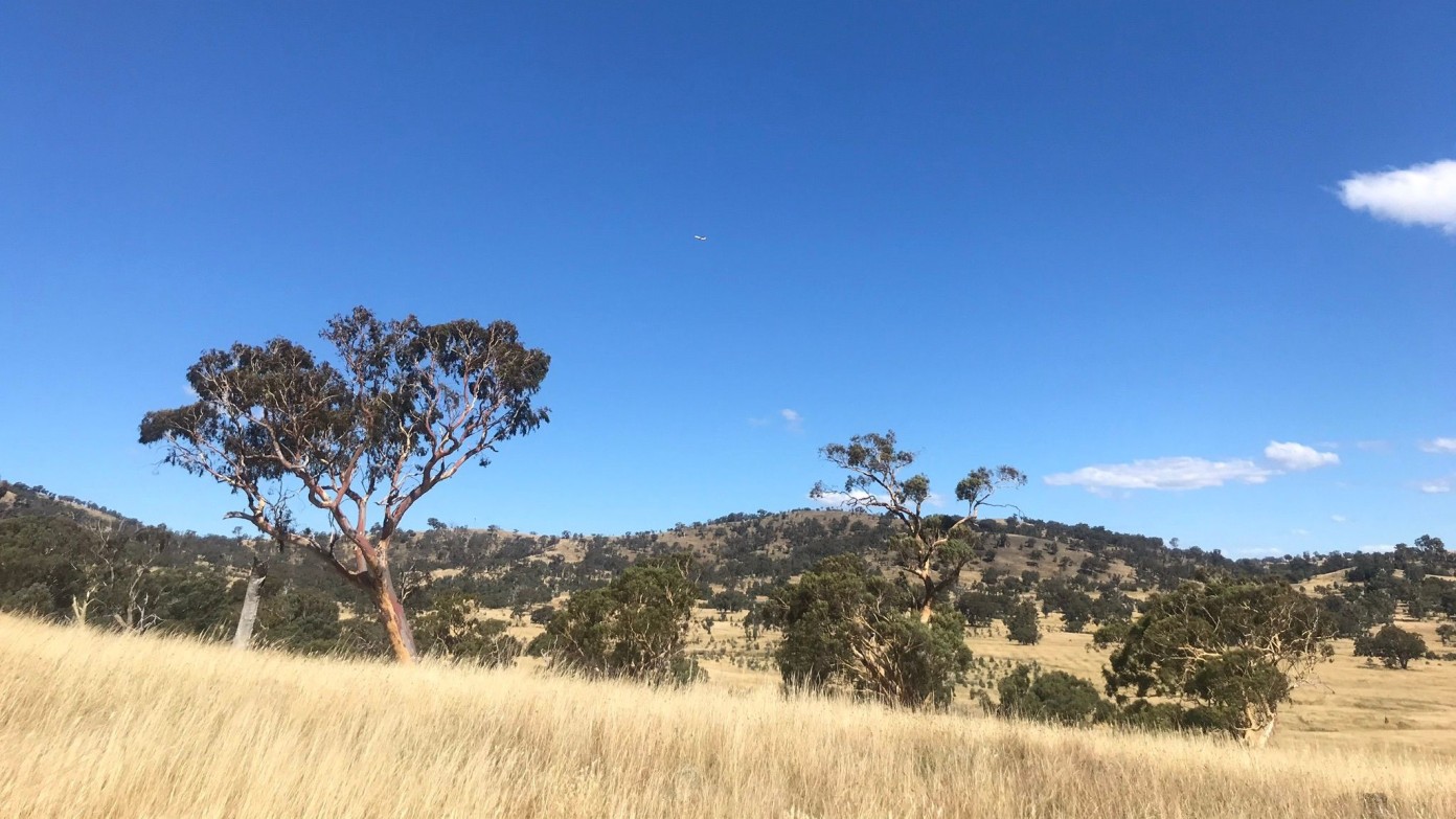 feature image for Evening Stroll - Sammys Hill