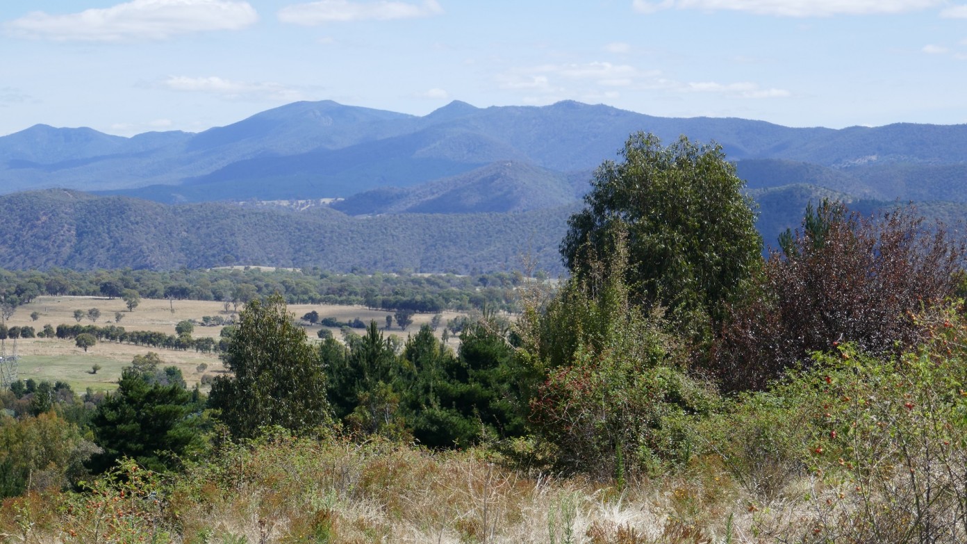 feature image for Evening Walk: Narrabundah Hill, Duffy