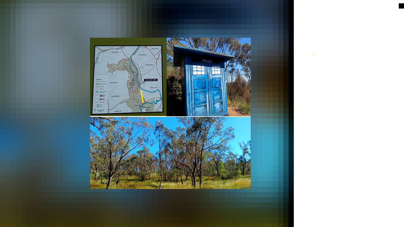 feature image for Evening Walk - Red Hill