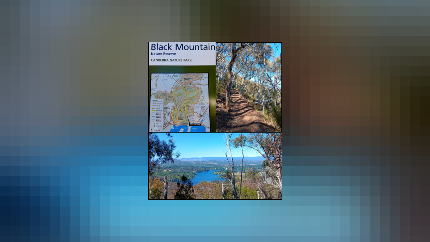 feature image for Evening walk - Black Mountain