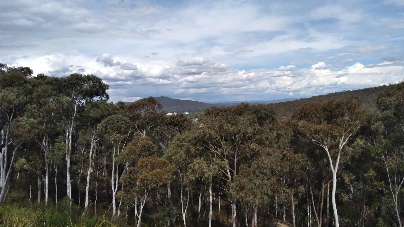 feature image for Evening walk - Bruce Ridge and Gossan Hill