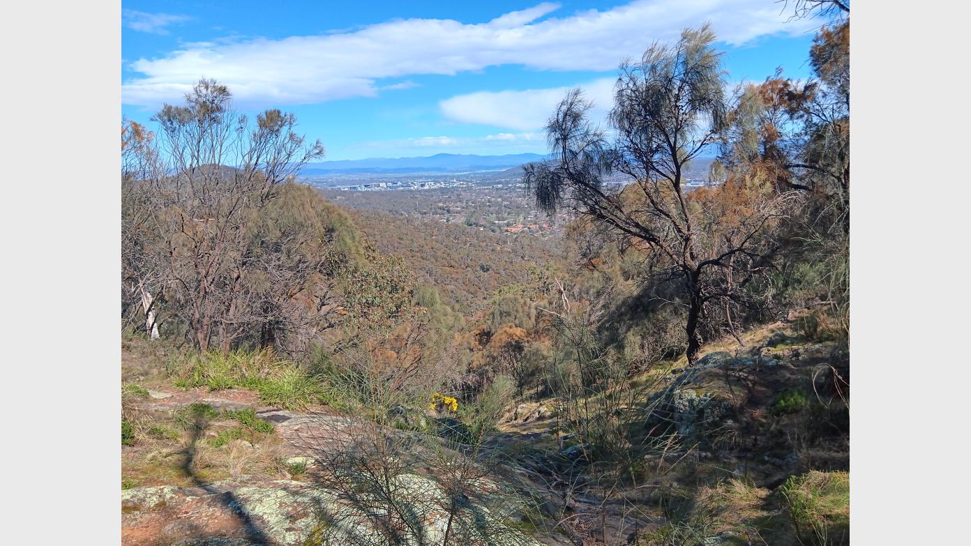 feature image for 3 Up 3 Down - Mt Majura