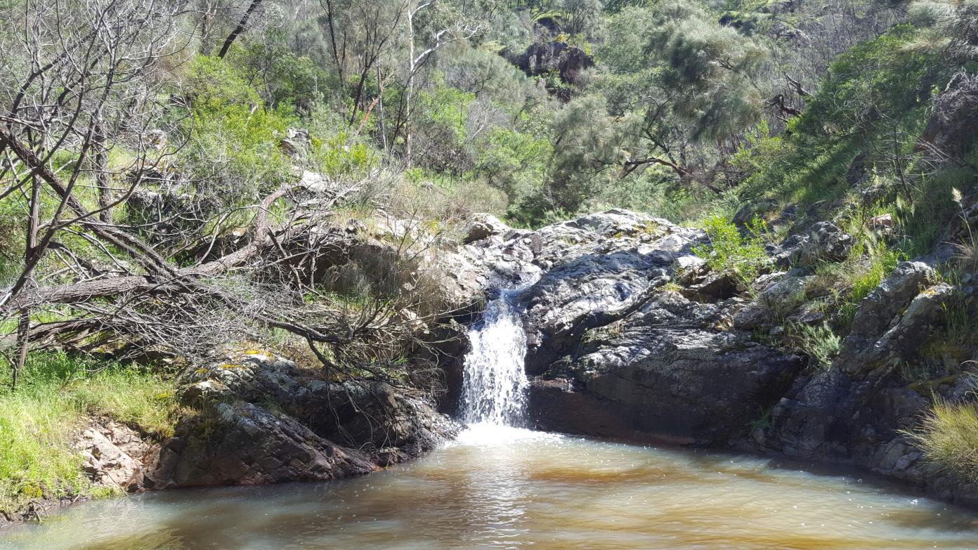 feature image for Canoe Creek and Environs