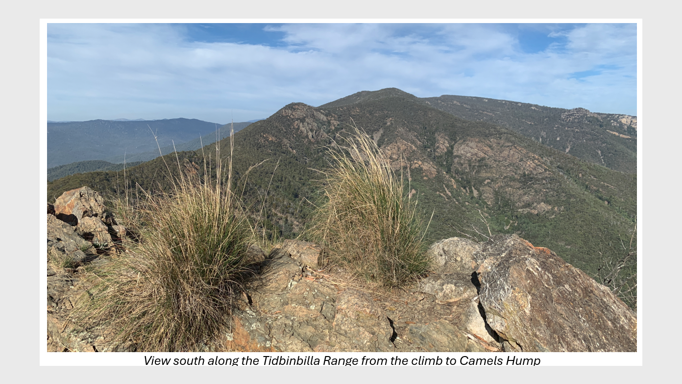 feature image for Camels Hump