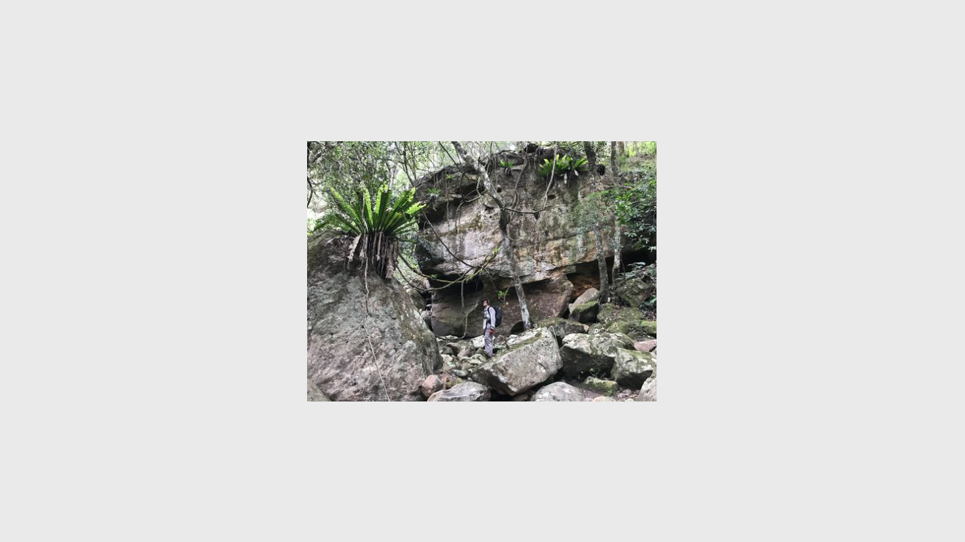 feature image for Ettrema Wilderness: Deception Creek to Myall Ck