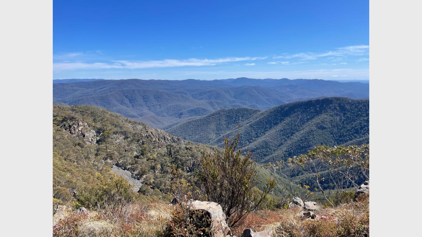 feature image for Tidbinbilla Peak & Johns Peak - 16 Nov 2025