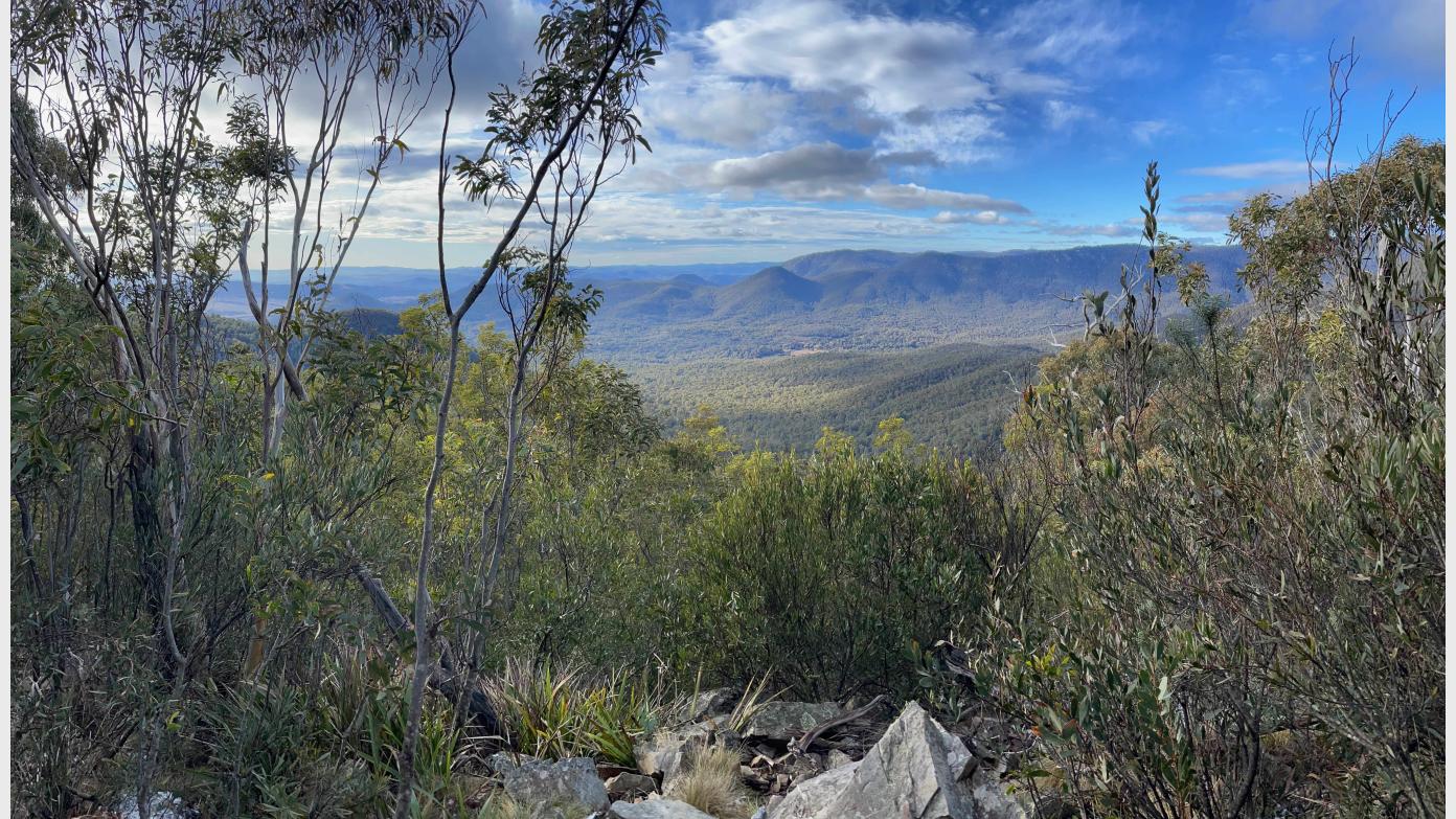feature image for Mt Tidbinbilla via Snowy Corner and Spur 1 Tracks - 23 Nov 2025