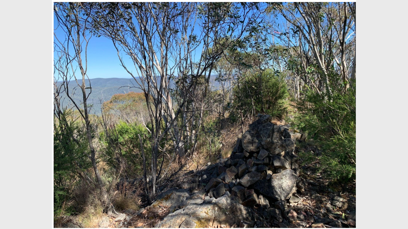feature image for Fishing Gap to Mt Domain: the new Mindjagari Track