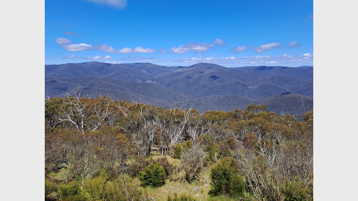 feature image for Mt Domain from Fishing Gap with exit via Snowy Corner