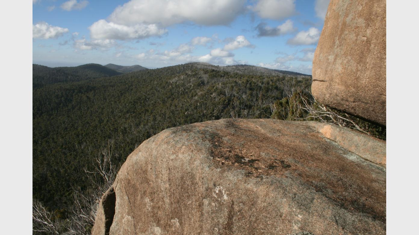 feature image for Wednesday Walk - Square Rock via Smokers Track (CBC Sponsored)
