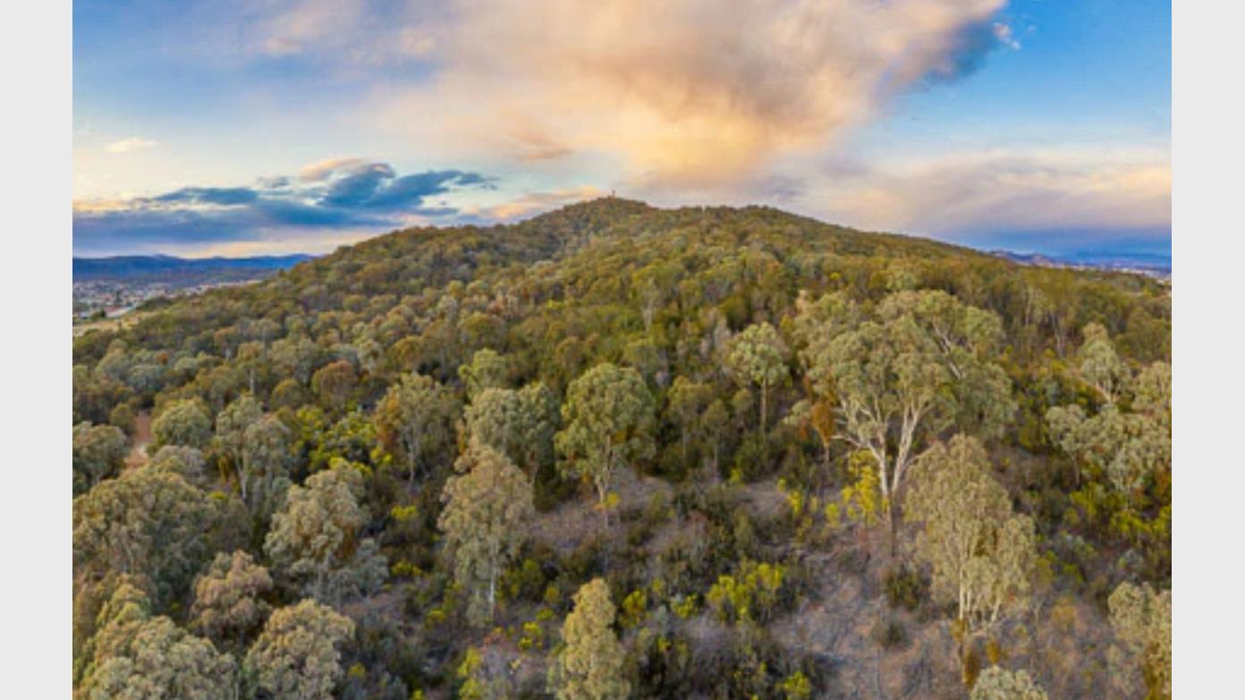 feature image for Mount Jerrabomberra Nature Park (E-M Wednesday Walk, CBC sponsored…no need to register)
