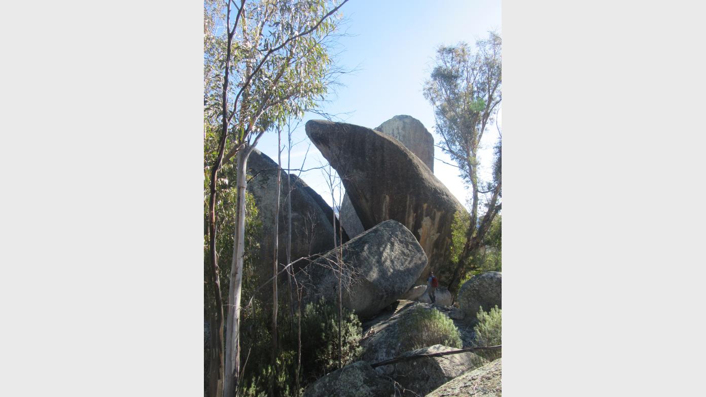 feature image for M-H Wednesday Walk 29 October: Orca Rock (CBC Sponsored)