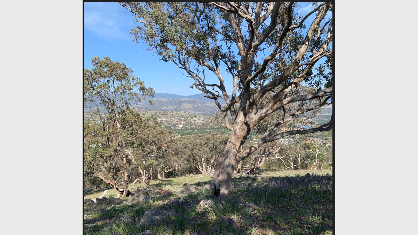 feature image for Daylight Savings Evening Walk – Tuggeranong Hill
