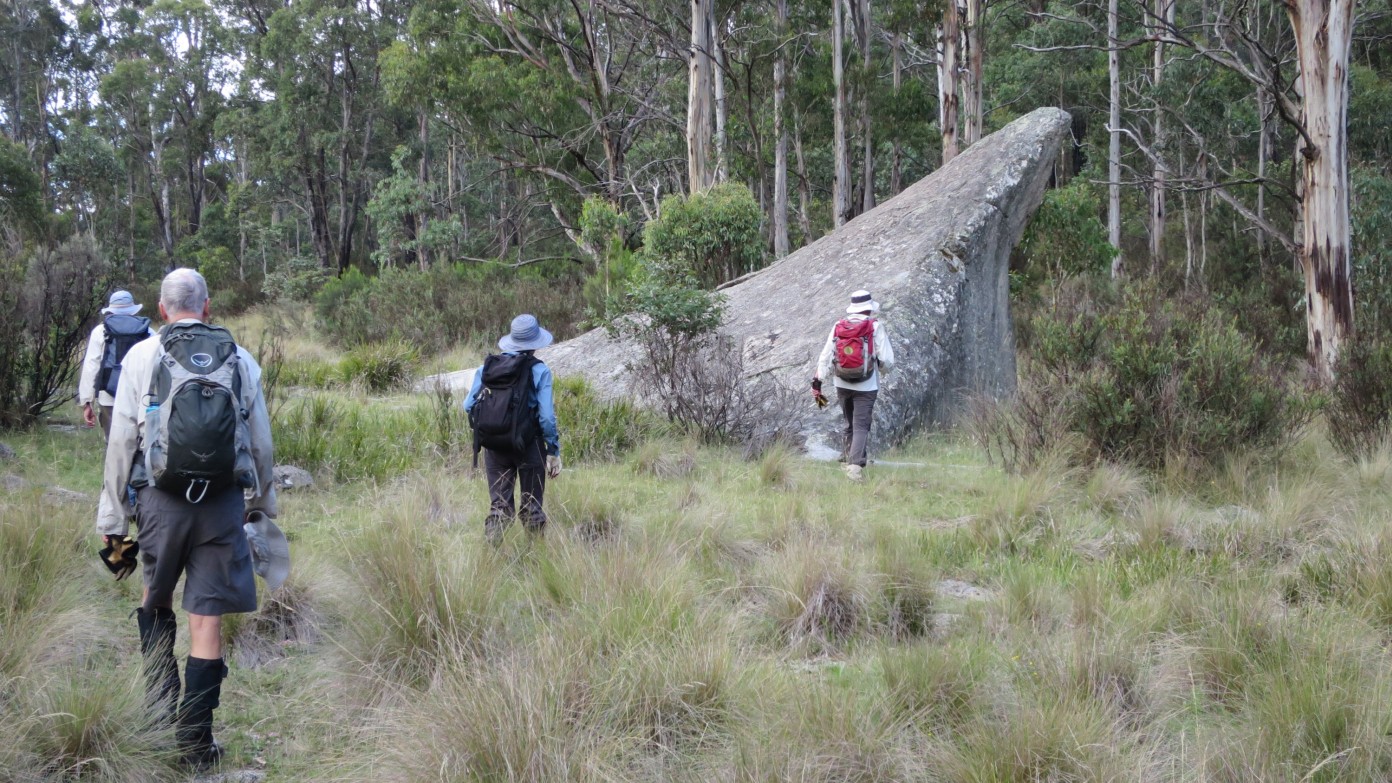 feature image for a Thursday morning ramble south of the Spinnaker