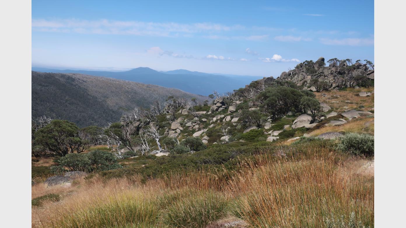 feature image for Day walks from Thredbo