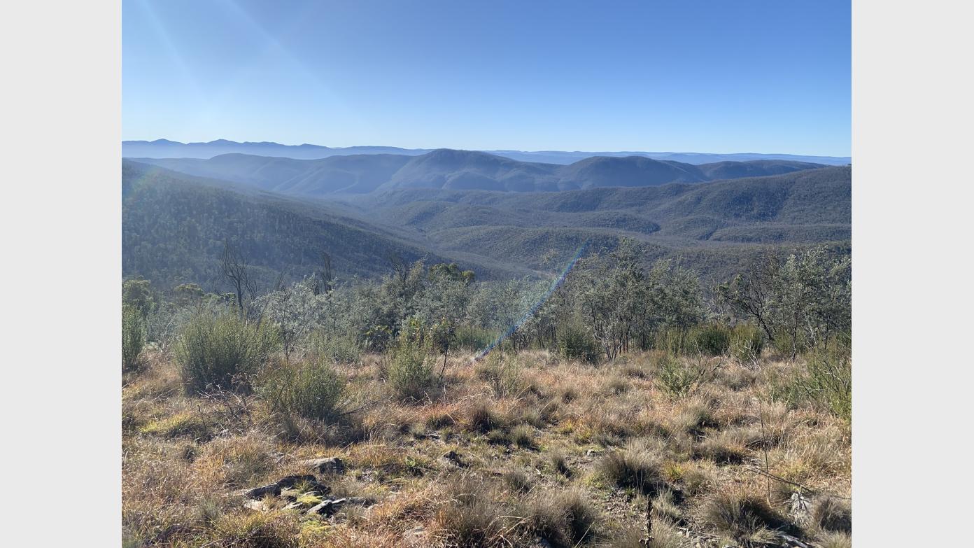 feature image for Another Thursday ramble:  Shanahans Mountain to Naas Creek