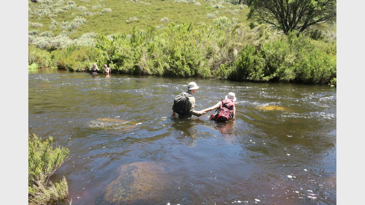 feature image for Kosciuszko National Park - the joys of bushwalking without brumbies.