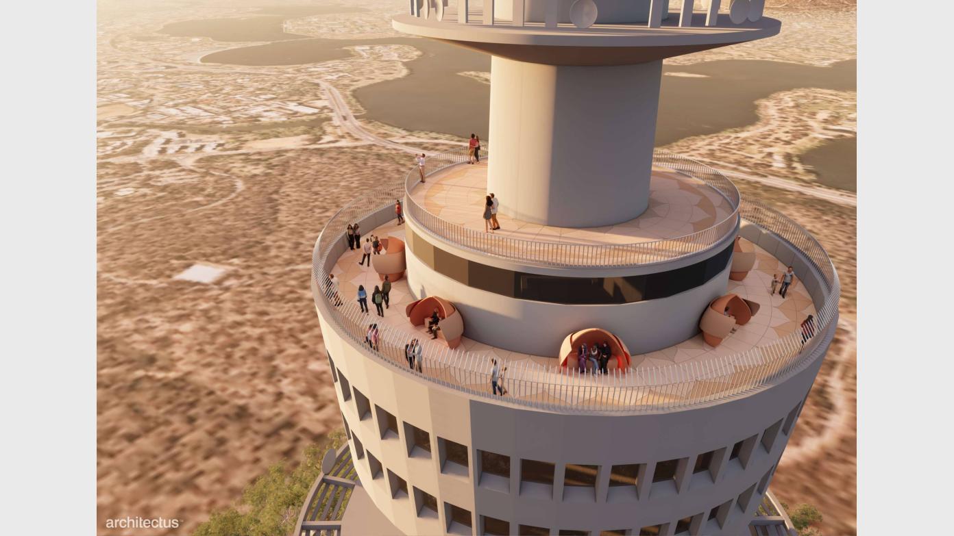 feature image for CBC: WEDNESDAY WALK. CORK OAK PLANTATION TO BLACK MOUNTAIN CIRCUIT