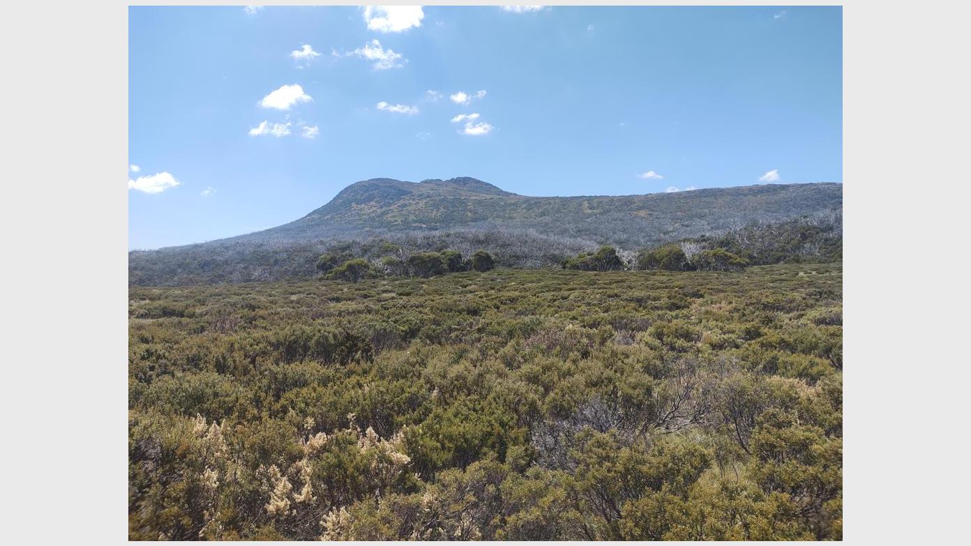 feature image for Australia Day in the Australian Alps - Jagungal edition