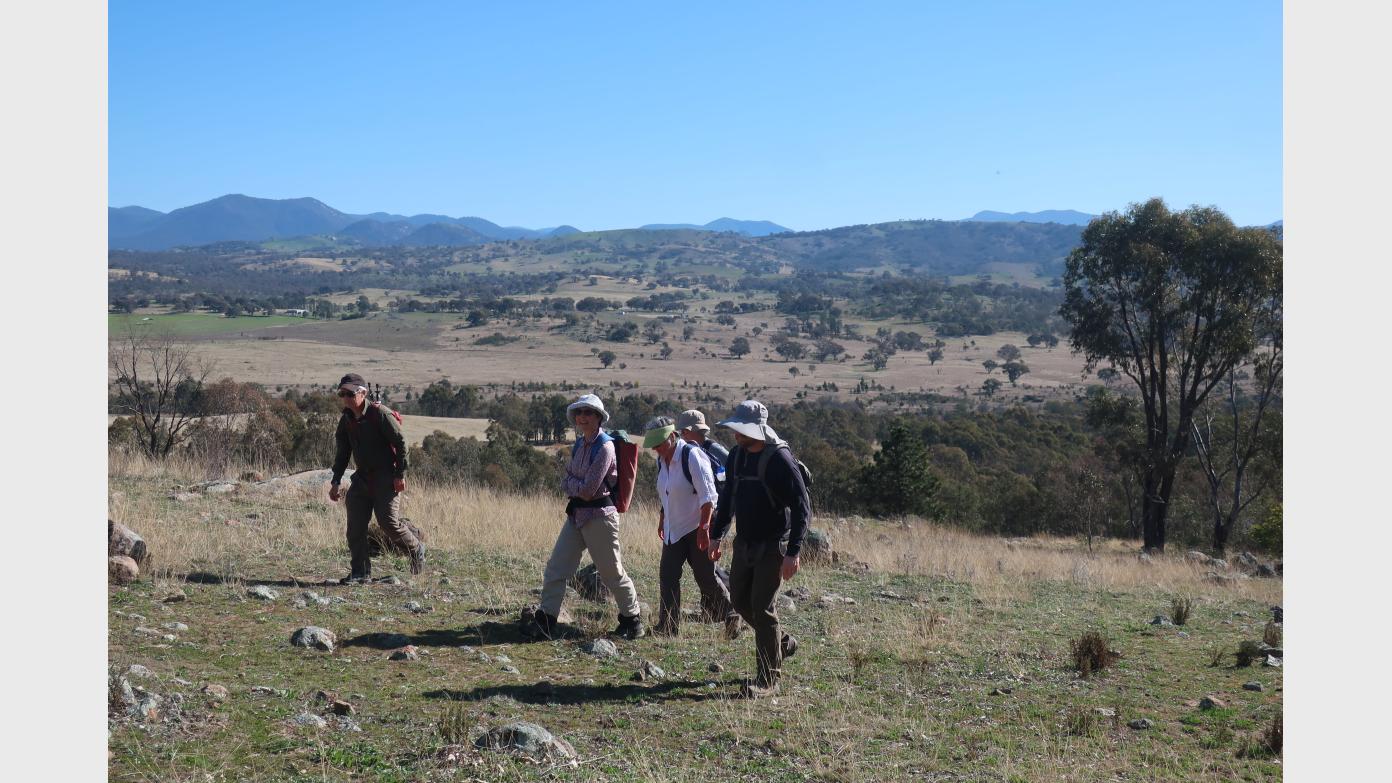 feature image for Stranger & Stranger