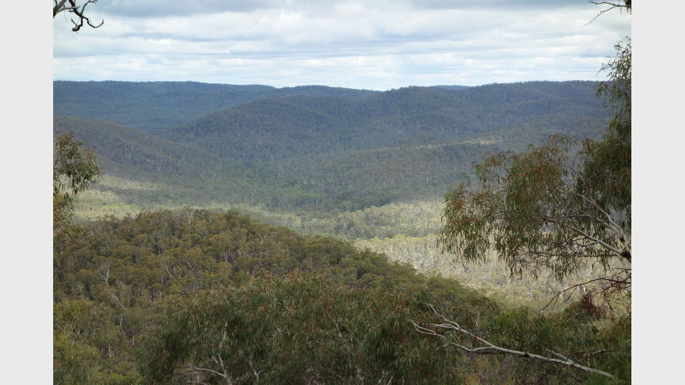 feature image for Pinch Creek, Blue Mountains National Park