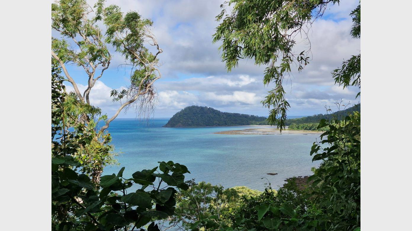 feature image for CBC March presentation WHERE THE RAINFOREST MEETS THE REEF: BUSHWALKING IN FAR NORTH QUEENSLAND