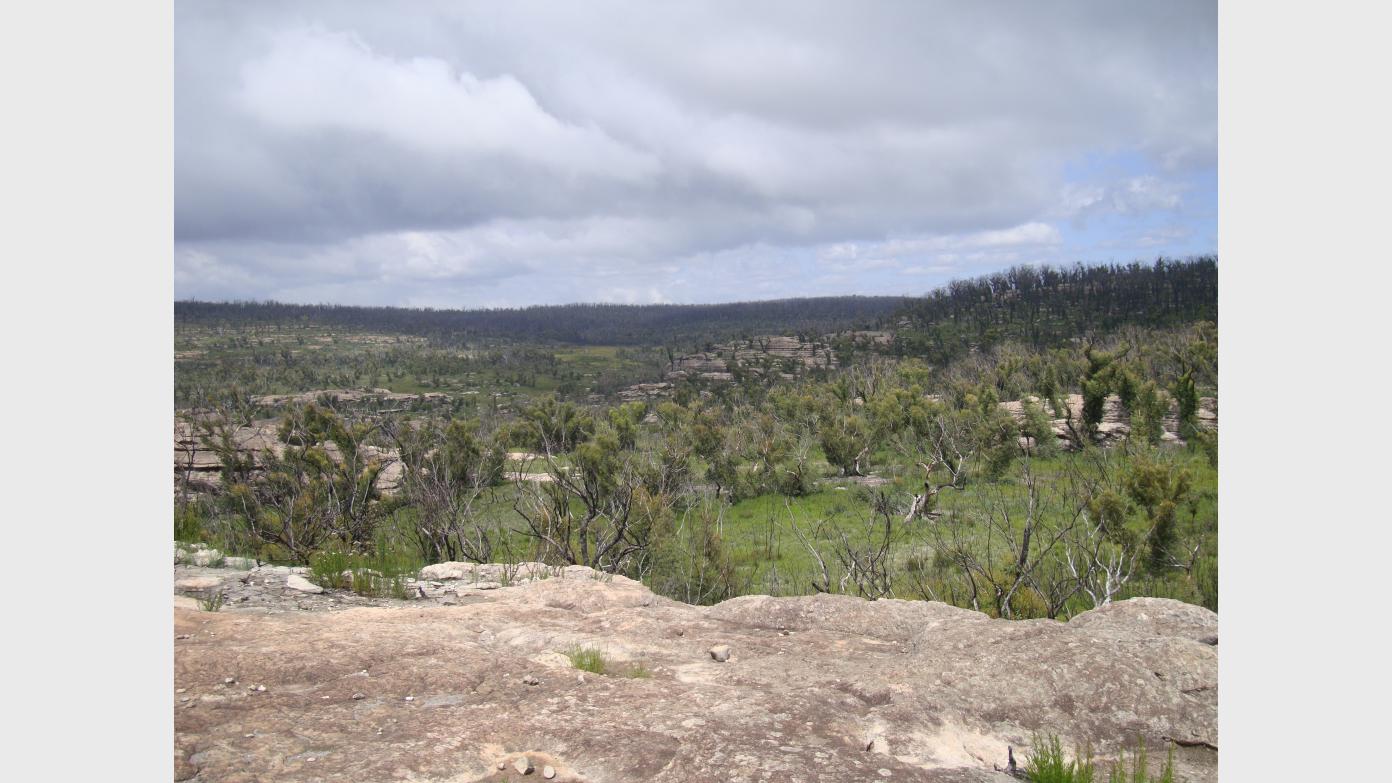 feature image for Sandstone Country - Western Side of Ettrema Gorge, Morton National Park