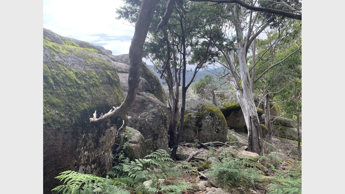 feature image for Thursday ramble to Square Rock for morning tea