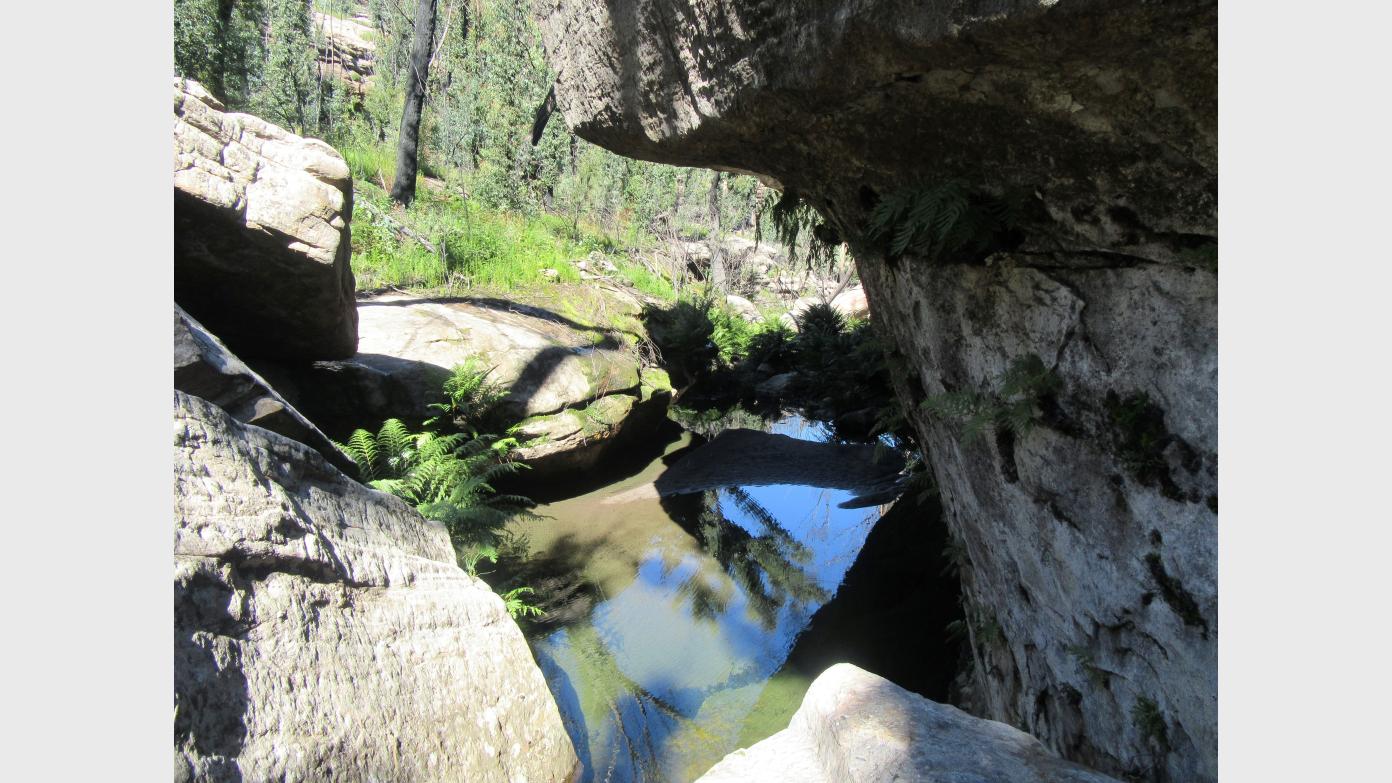 feature image for Bulee Brook and Clifftops