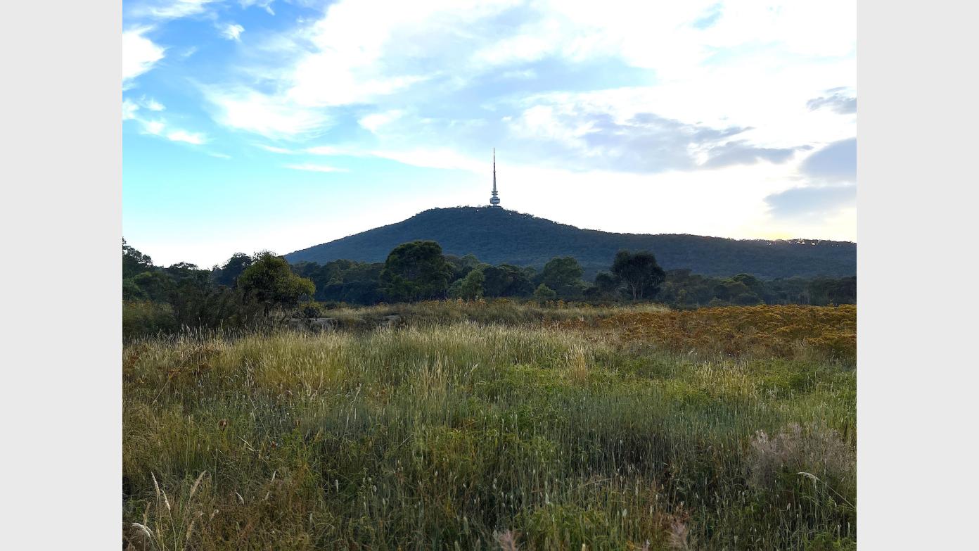 feature image for Frost Hollow evening walk