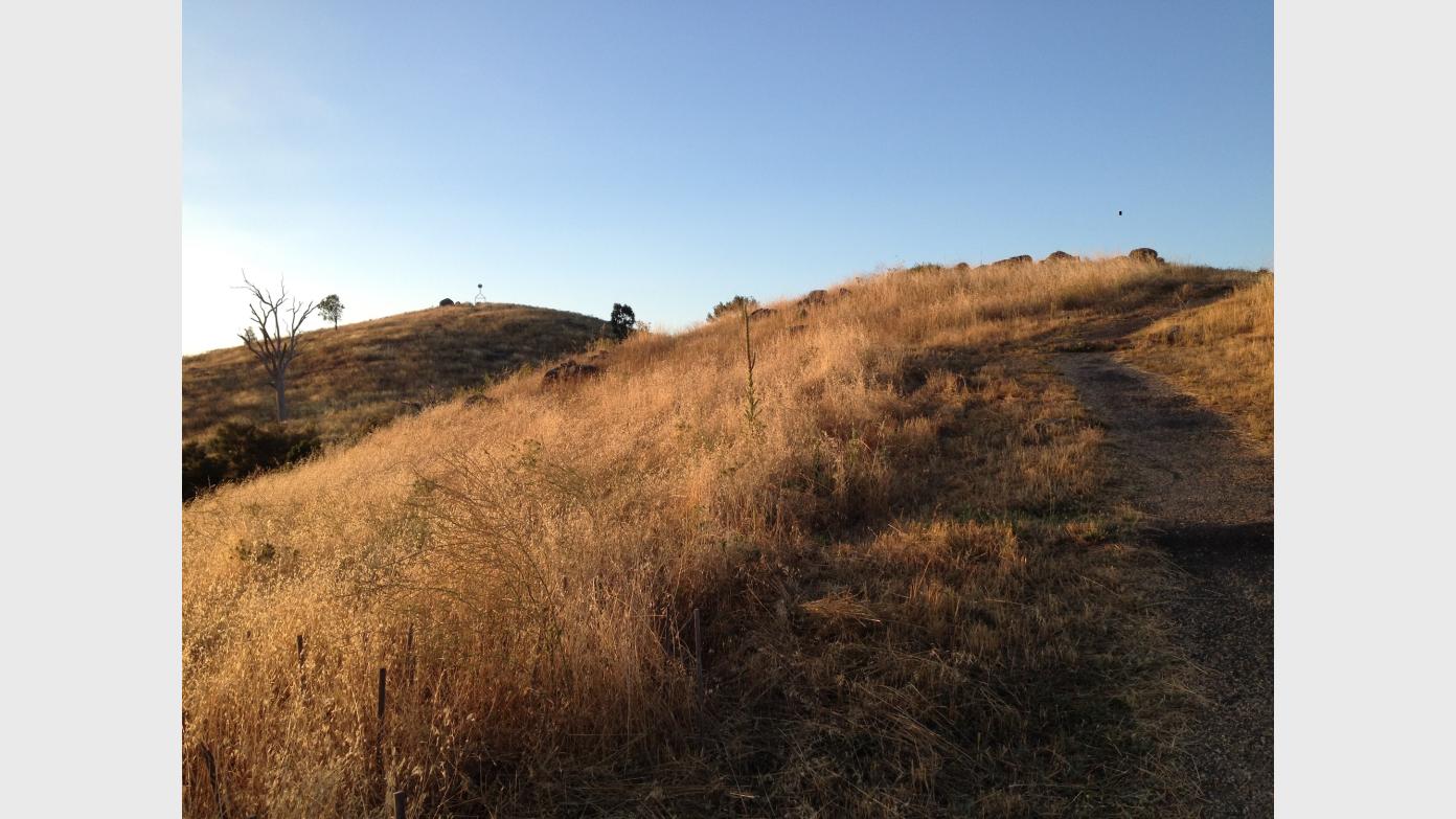 feature image for Tour de Mt Painter