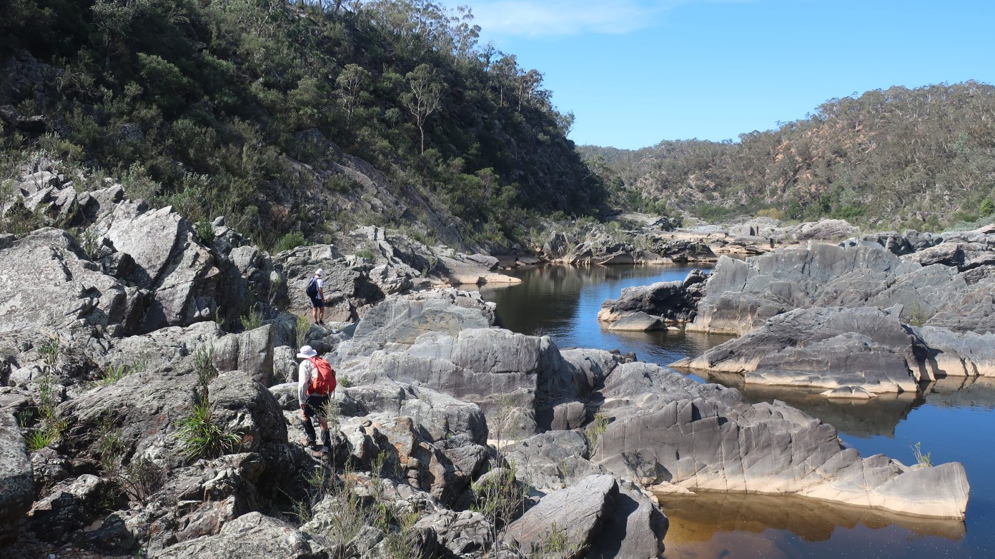 feature image for Shoalhaven Rock Ribs