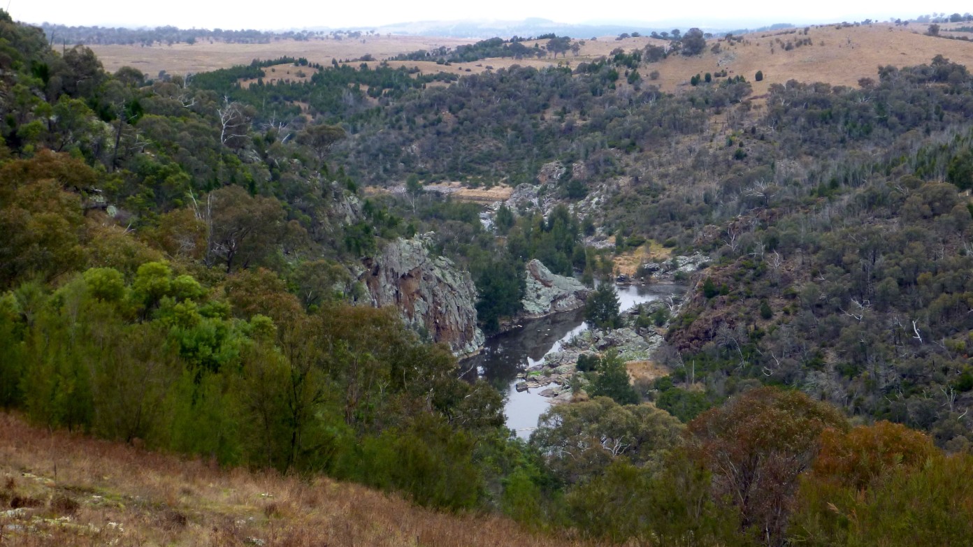 feature image for Lower Molonglo River II