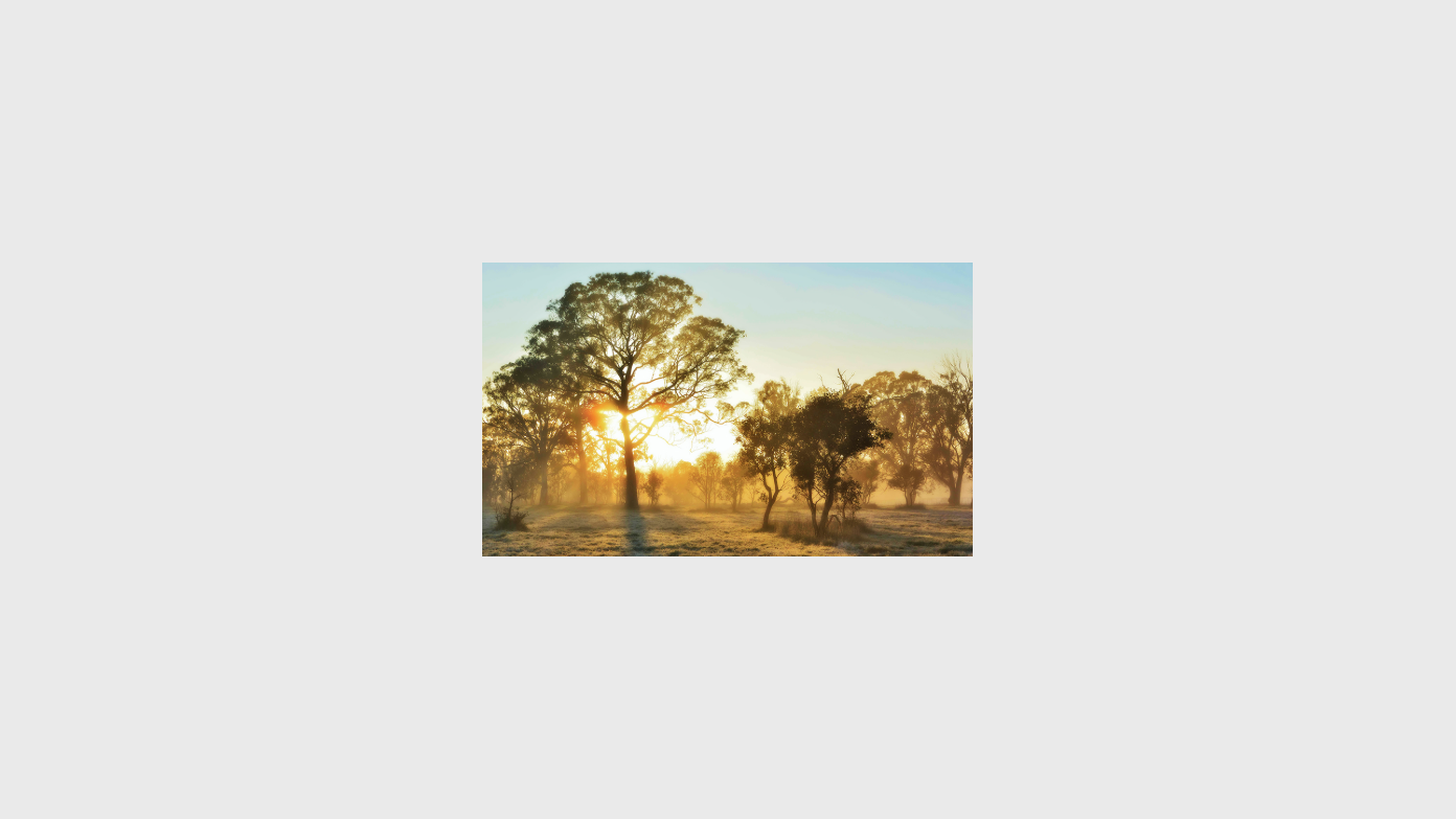 feature image for Early Morning Fitness Walk Mt Majura (6:30am start!)