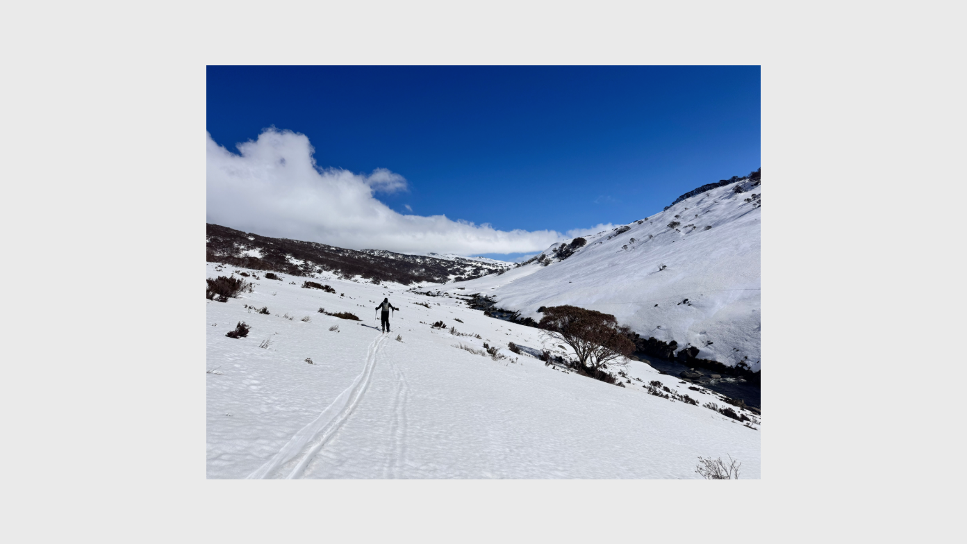 feature image for Kosciuszko NP: Snowshoe Day Trips (various) out of Charlottes Pass