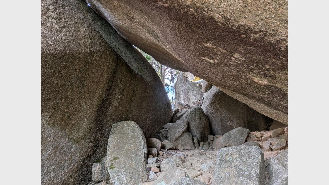 feature image for Medium/Hard Wednesday Walk - 14 Jan 2026 - Hill 1356