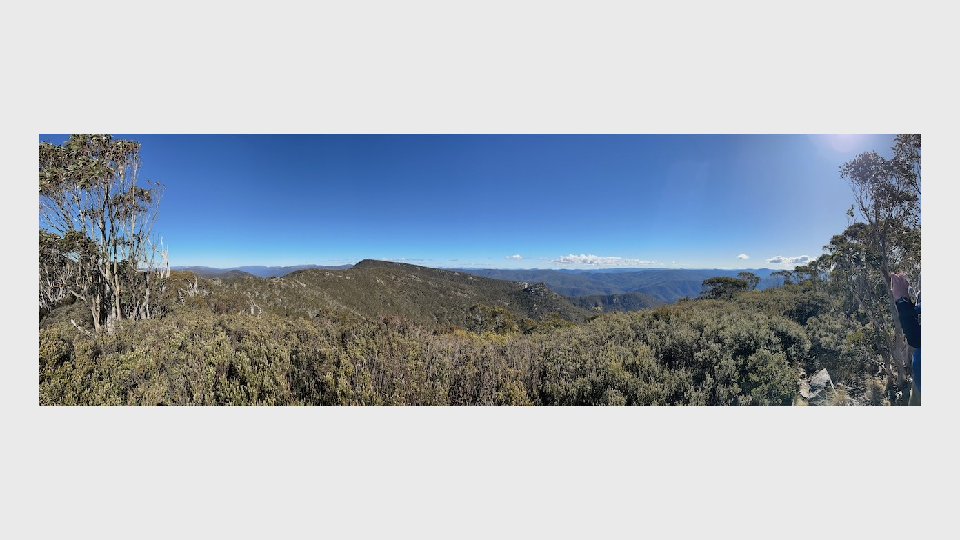 feature image for TIDBINBILLA TRAVERSE