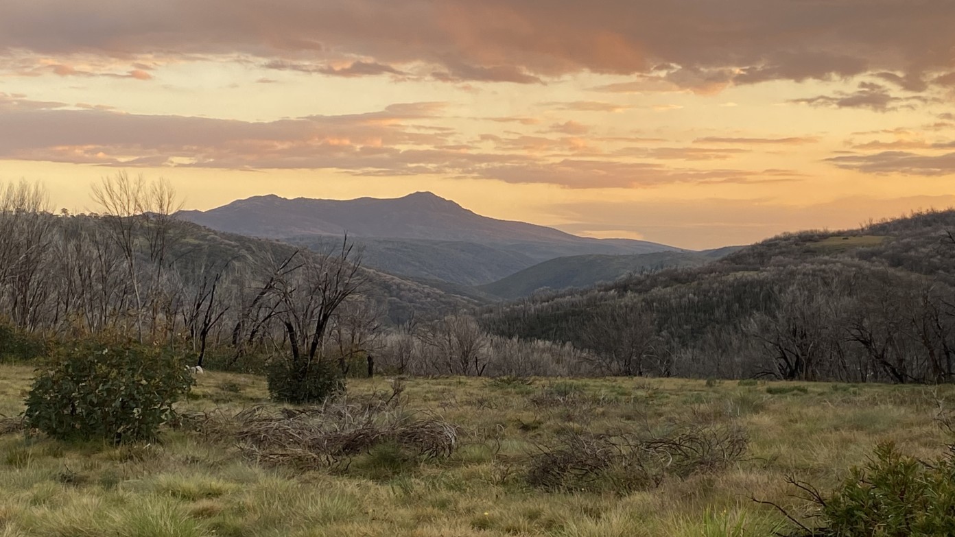 feature image for Short notice - Three days to Mt Jagungal over the long weekend