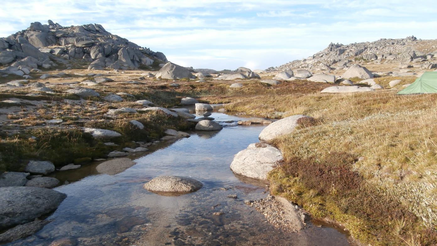 feature image for Rams Head Range