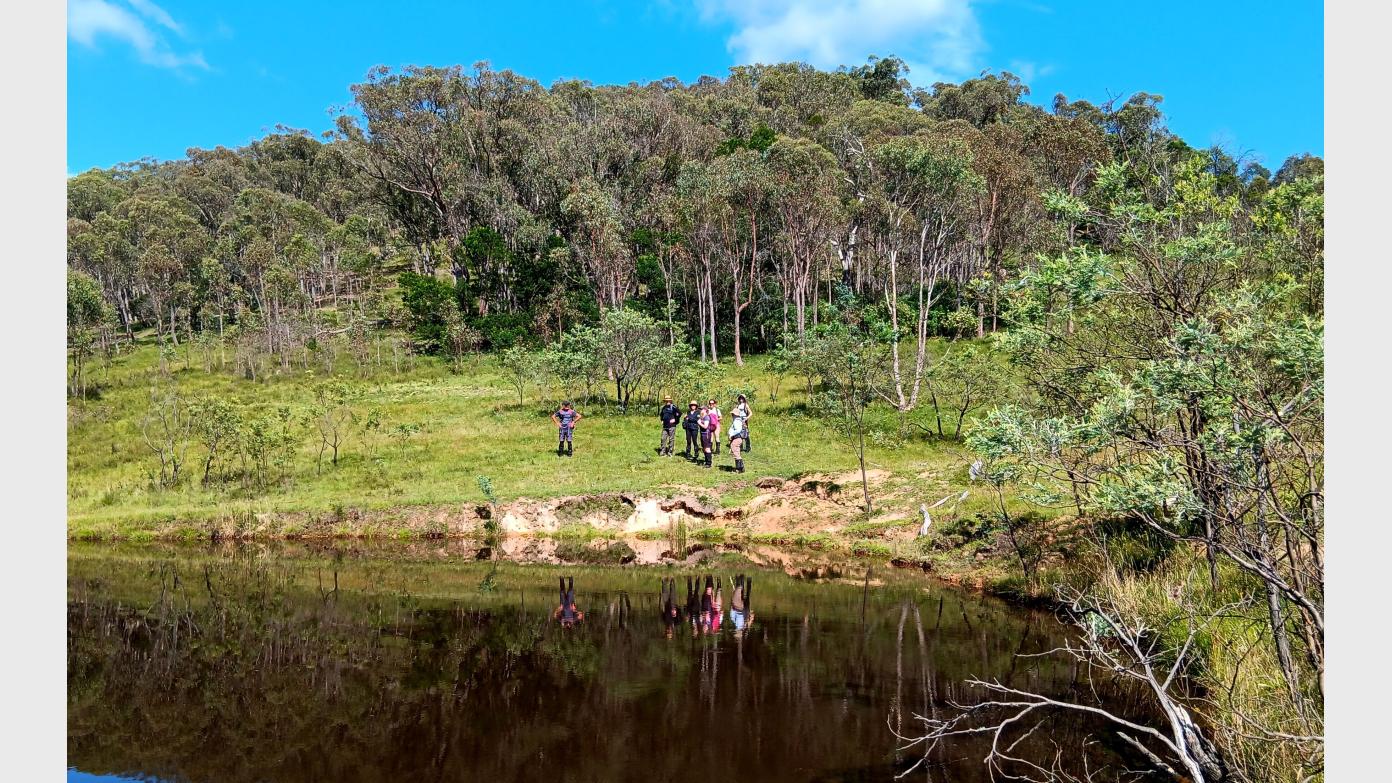 feature image for Evening walk - Little Mulligans