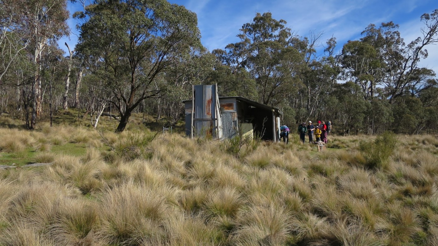 feature image for WEDNESDAY WALK E/M Hospital Creek Cascades and Hut