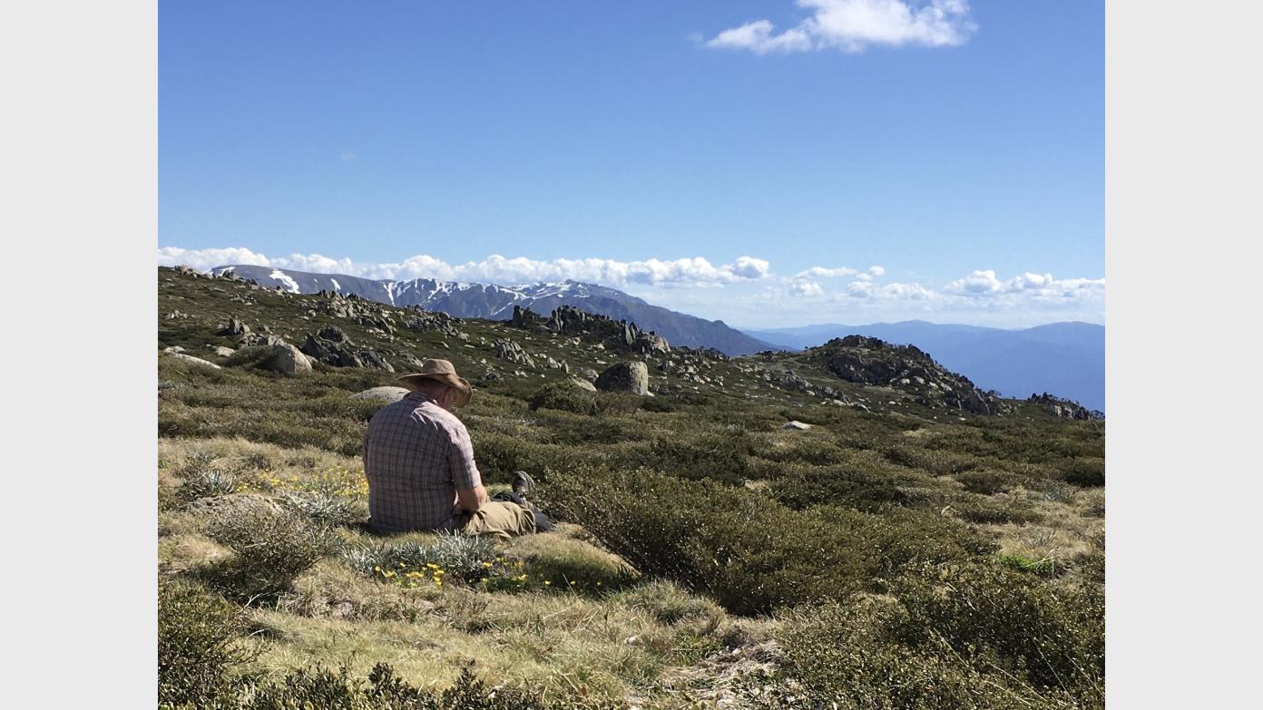 feature image for A stroll over the Rolling Grounds