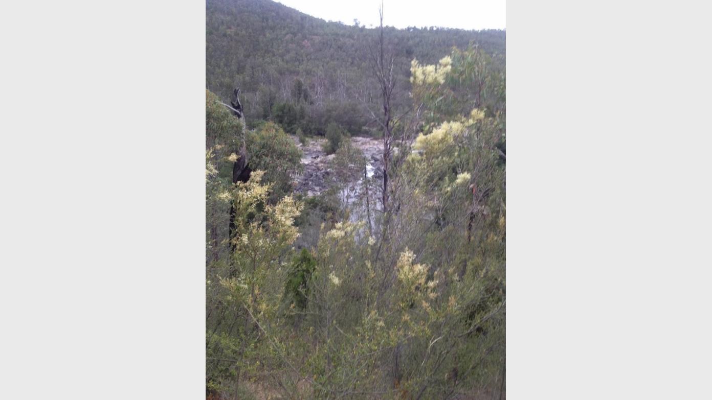 feature image for Thursday ramble above the Murrumbidgee River